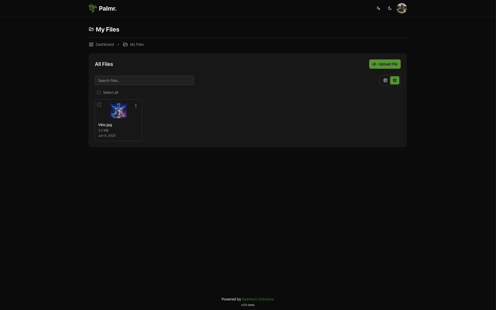 Files Card View - Visual card-based file browser layout
