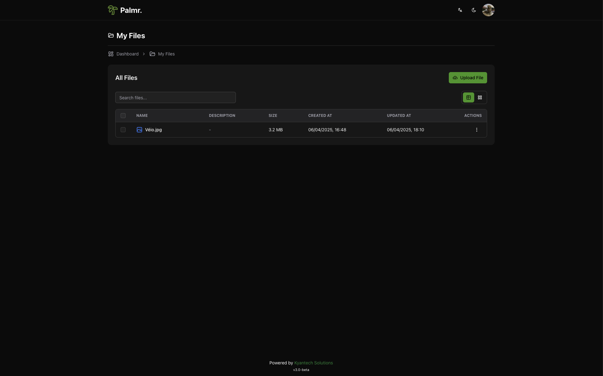 Files List View - Detailed file browser with metadata and actions